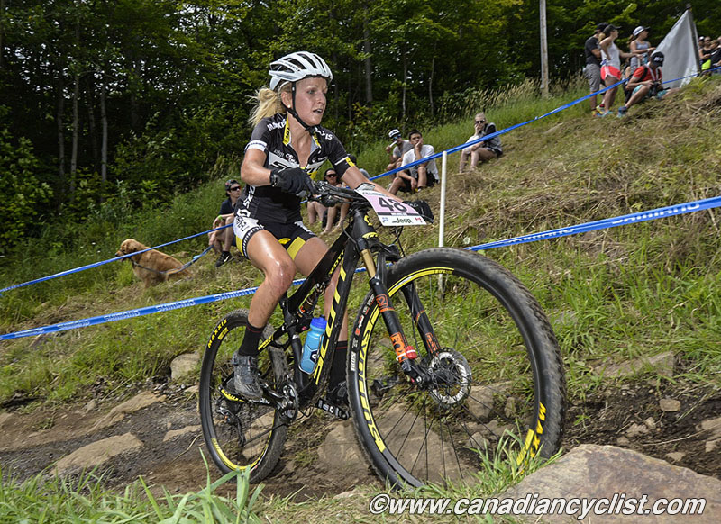 2015 MSA World Cup