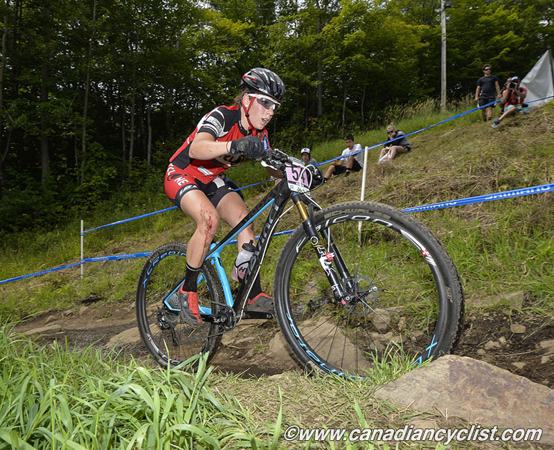 2015 MSA World Cup