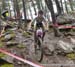 2015 MTB World Championships, Vallnord, Andorra