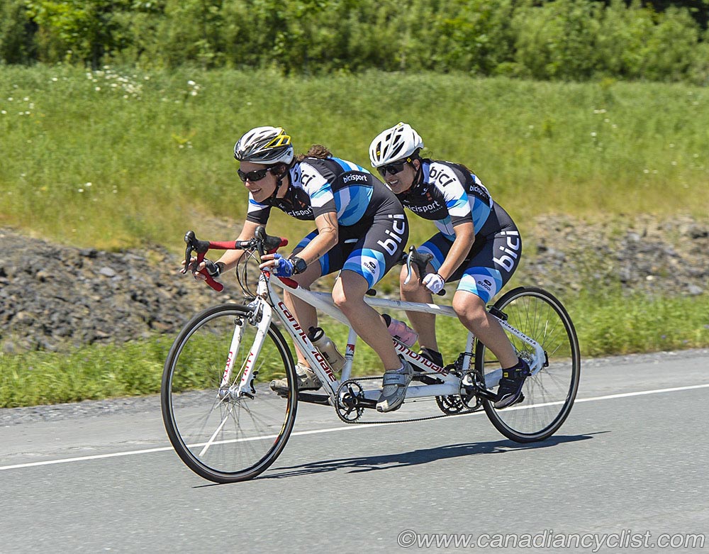 roadnats