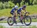 roadnats