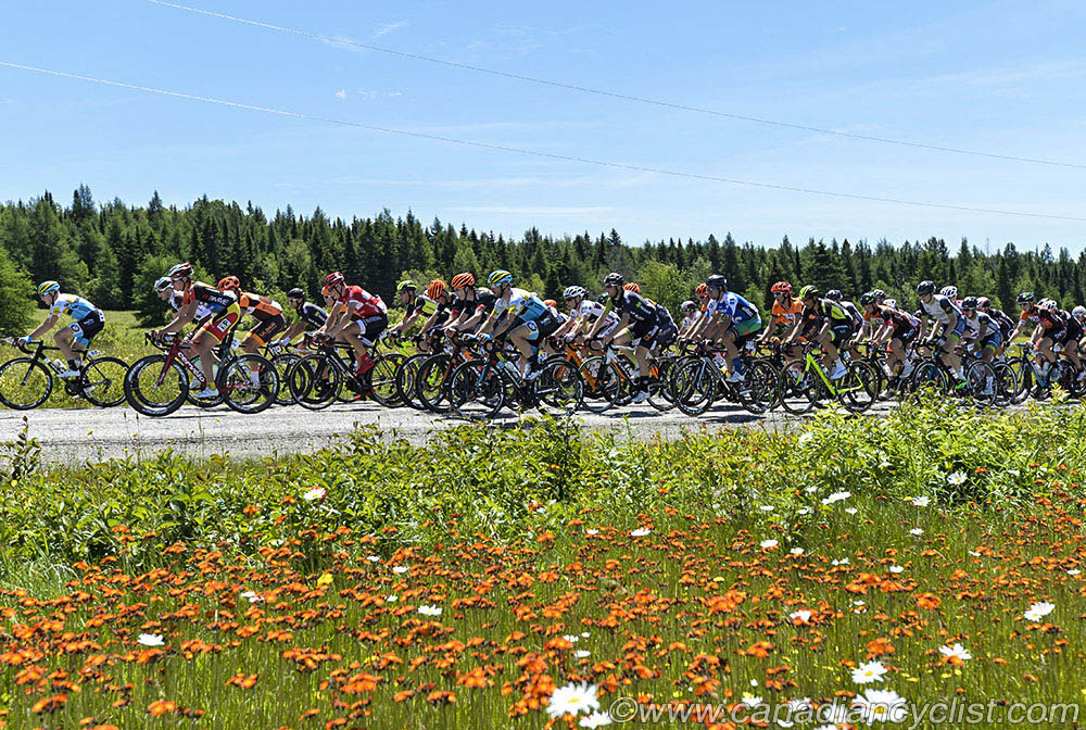 2015 Road Nationals