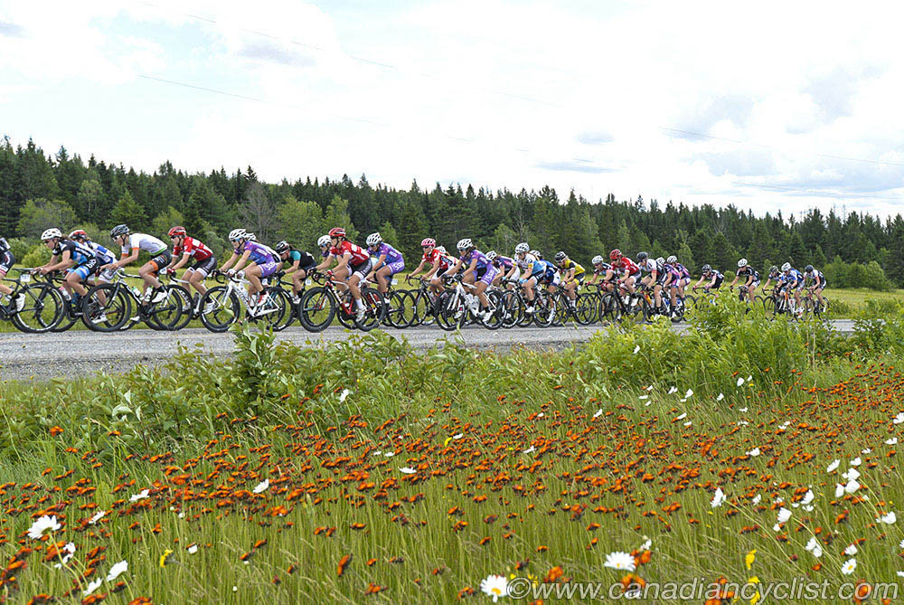 2015 Road Nationals