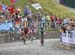 2015 Road World Championships, Richmond VA