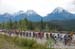 Tour of Alberta, 2015