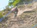 2015 Windham World Cup
