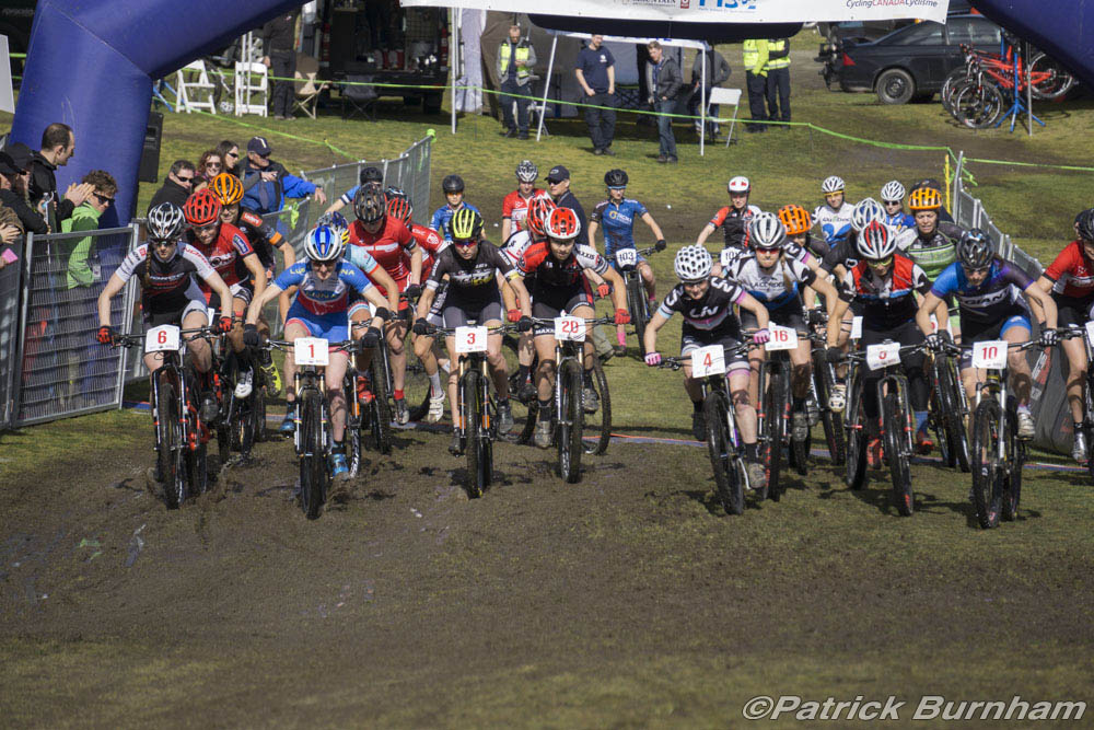 Cancup_Bearmtn