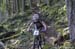 Cancup_Bearmtn