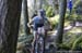 Cancup_Bearmtn
