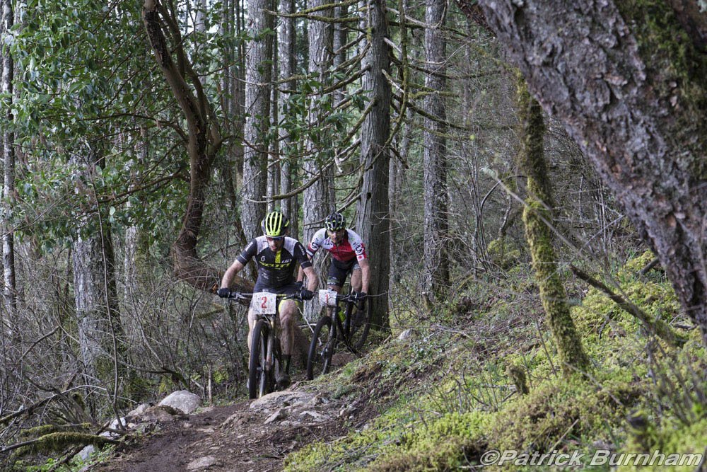 Cancup_Bearmtn