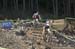 Cancup_Bearmtn