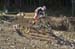 Cancup_Bearmtn