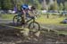 Cancup_Bearmtn