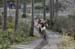 Cancup_Bearmtn
