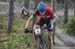Cancup_Bearmtn