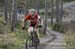 Cancup_Bearmtn