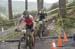 Cancup_Bearmtn