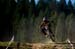 DH MTB World Champs