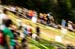 DH MTB World Champs