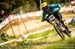 DH MTB World Champs