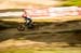 DH MTB World Champs