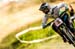 DH MTB World Champs