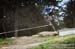 DH MTB World Champs