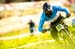 DH MTB World Champs