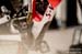 DH MTB World Champs