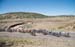 Silver City's Tour of the Gila, 2016