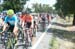 Amgen Tour of California, 2016