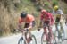 Amgen Tour of California, 2016