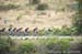 Amgen Tour of California, 2016