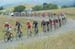 Amgen Tour of California, 2016