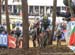 2016 Cyclocross World Championships, Zolder, Belgium