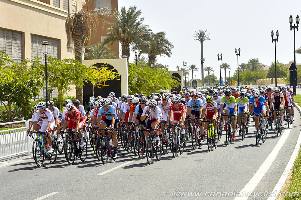 2016 Road World Championships, Doha, Qatar