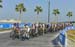 2016 Road World Championships, Doha, Qatar