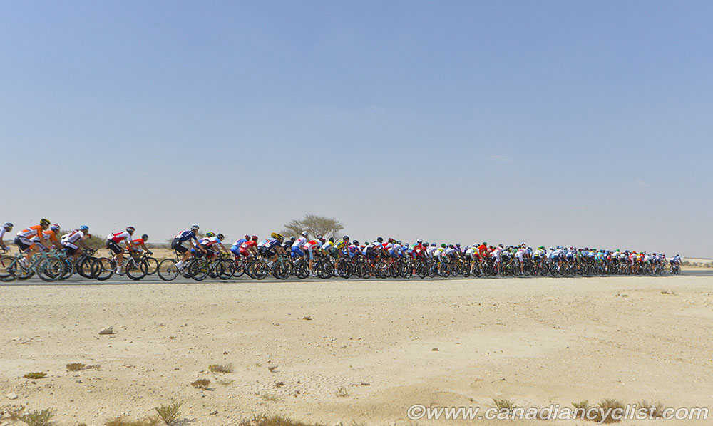 2016 Road World Championships, Doha, Qatar