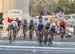 2016 Road World Championships, Doha, Qatar