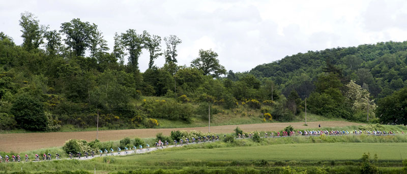 Giro d'Italia 2016: The 8th Stage