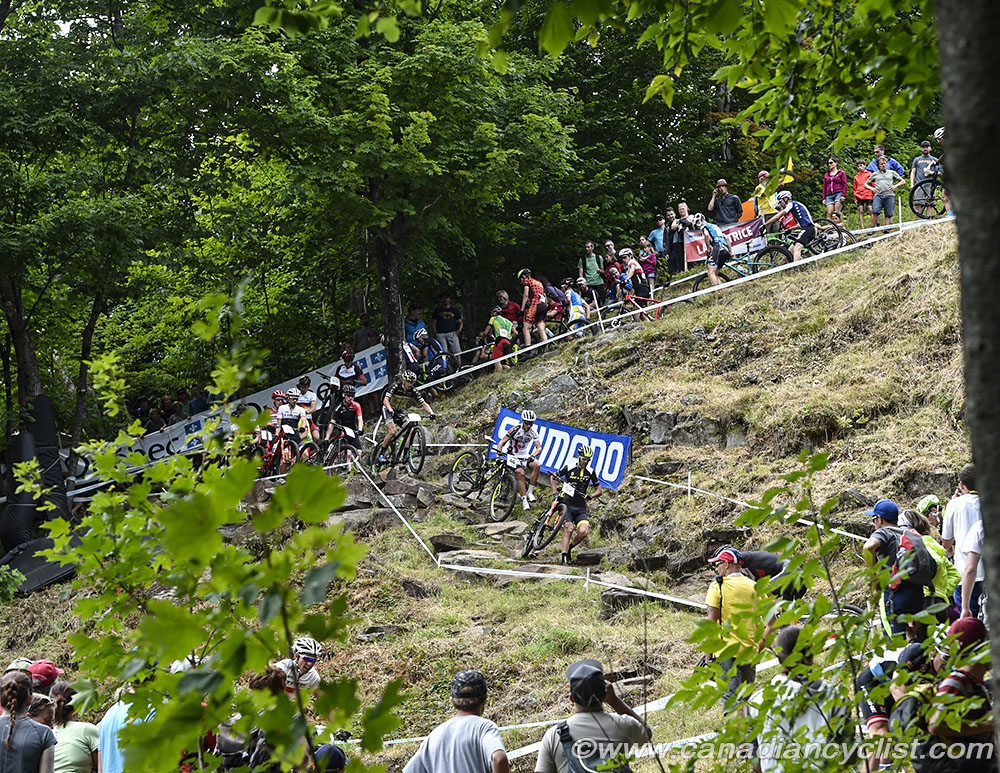 2016 MSA World Cup