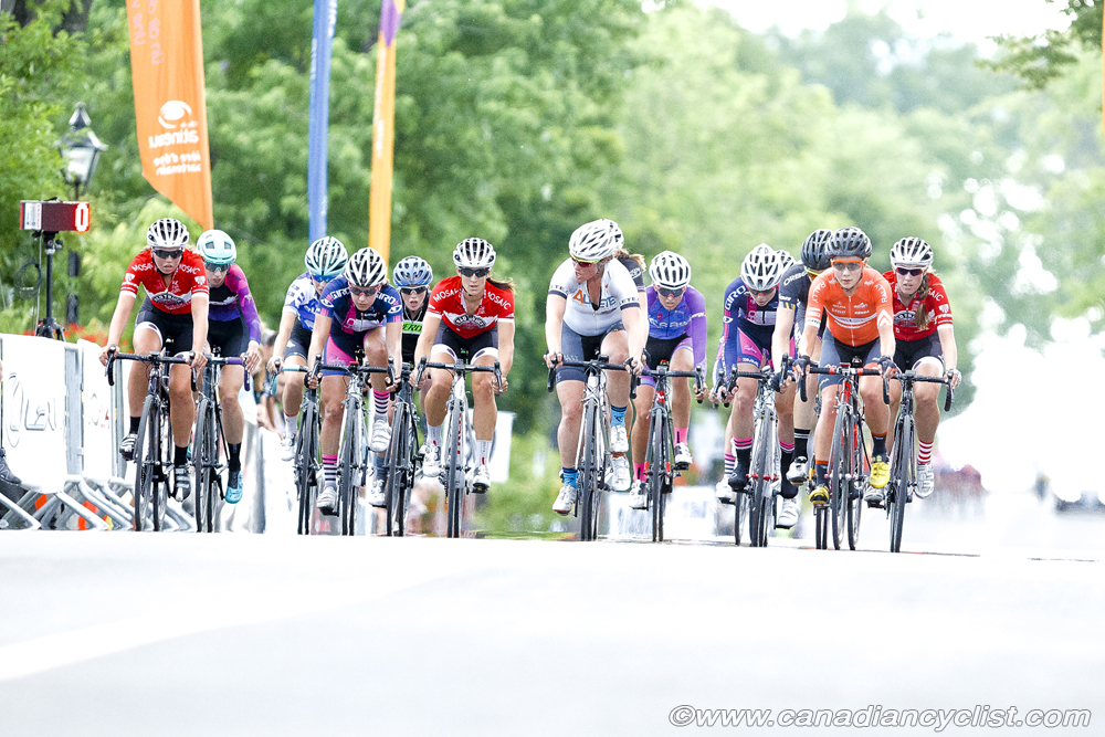 roadnats
