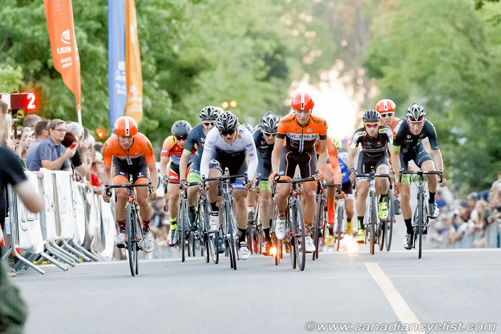 roadnats