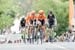 roadnats
