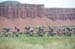 2016 Tour of Utah