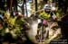UCI MTB World Cup, Valnord, Andorra.