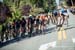 Tour de Delta - Delta Road Race