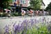 2017 BCSuperweek, Tour de Delta, Ladner Criterium