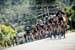 2017 BCSuperweek, Tour de White Rock, Road Race