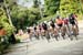 2017 BCSuperweek, Tour de White Rock, Road Race